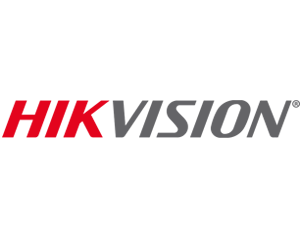 l1 hikvision